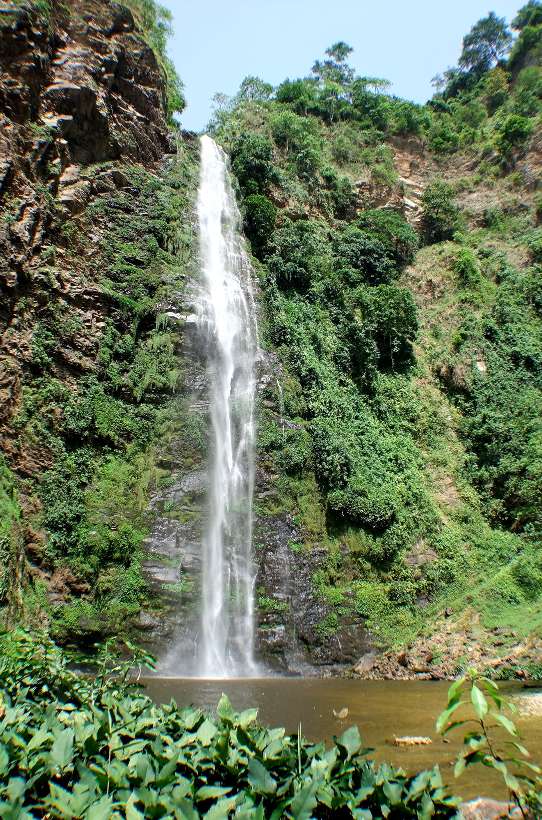 Mesquita Bobo